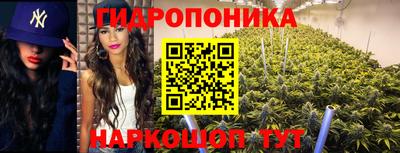 бошки Лесосибирск
