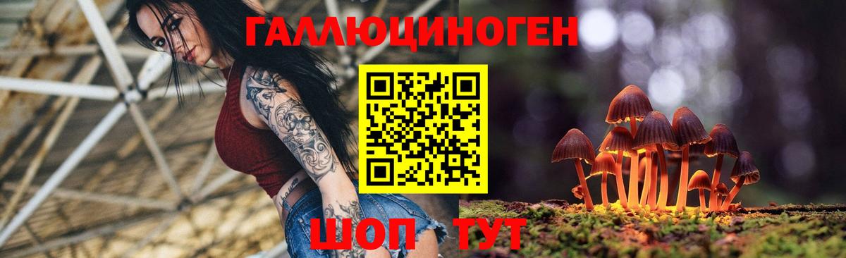 Выкса  где найти   Галлюциногенные грибы Psilocybe  Вход с VPN  Псилоцибиновые грибы мухоморы 